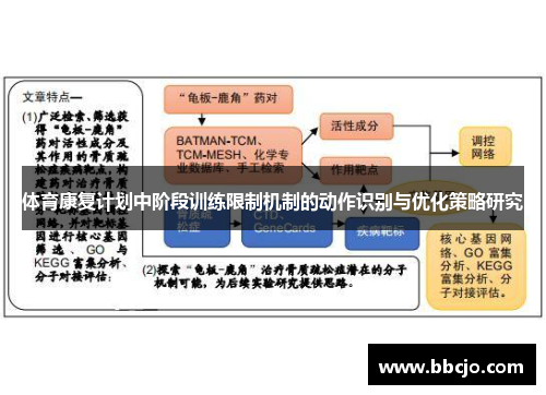 体育康复计划中阶段训练限制机制的动作识别与优化策略研究